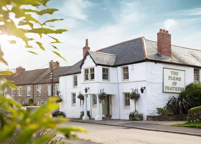 The Plume Of Feathers